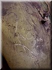 people_Another Rock signature found by J. Scott in his 1970 Cuda